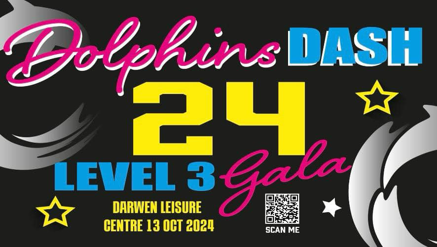Dolphins Dash 2024